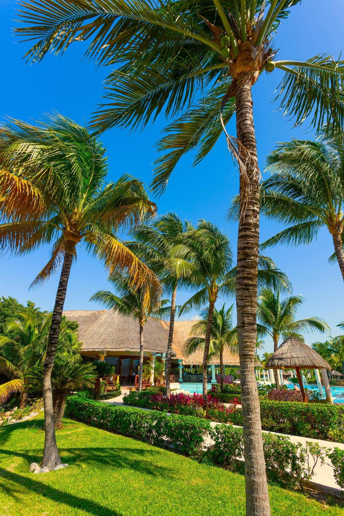 Trs Yucatan Hotel - Adults Only Akumal Luaran gambar